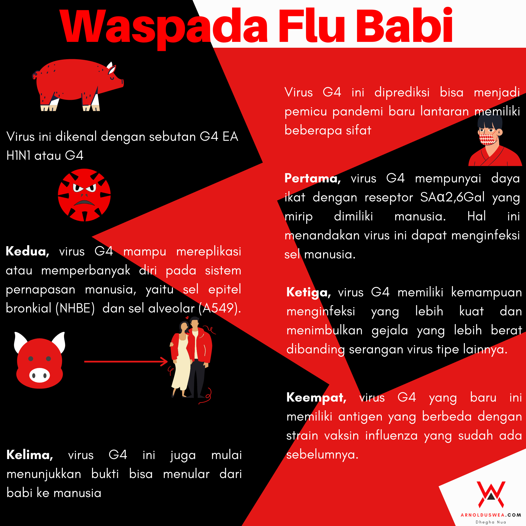 Waspada Flu Babi Infografik